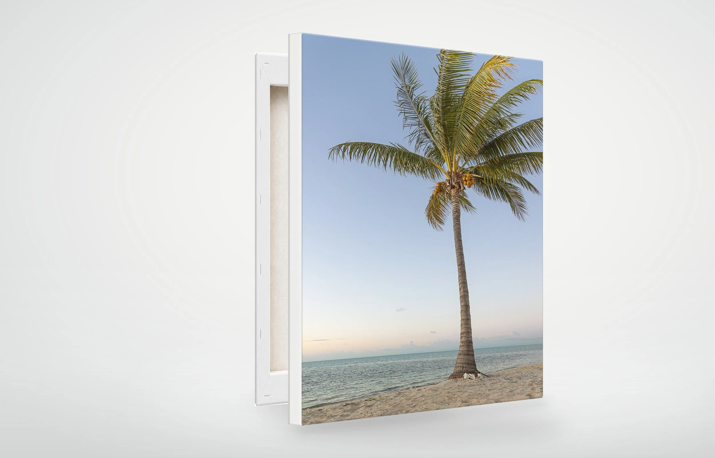 TAC01-MOCKUP-CANVAS.jpg