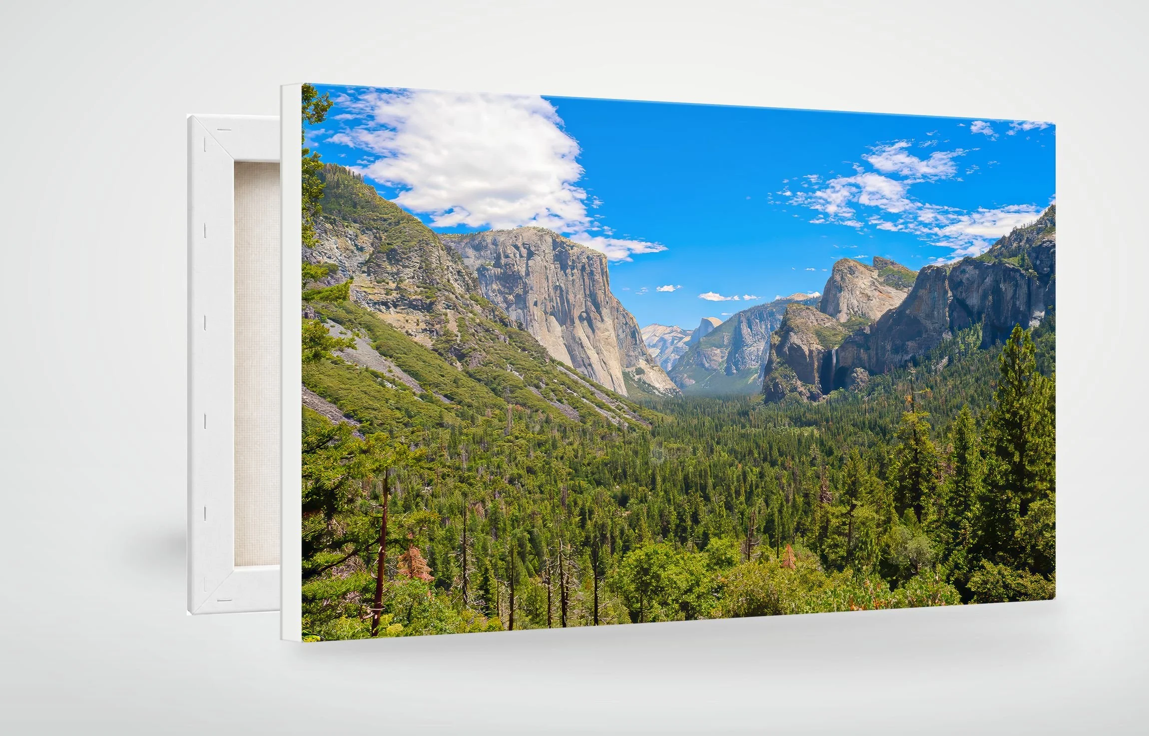 YOS01-MOCKUP-CANVAS.jpg
