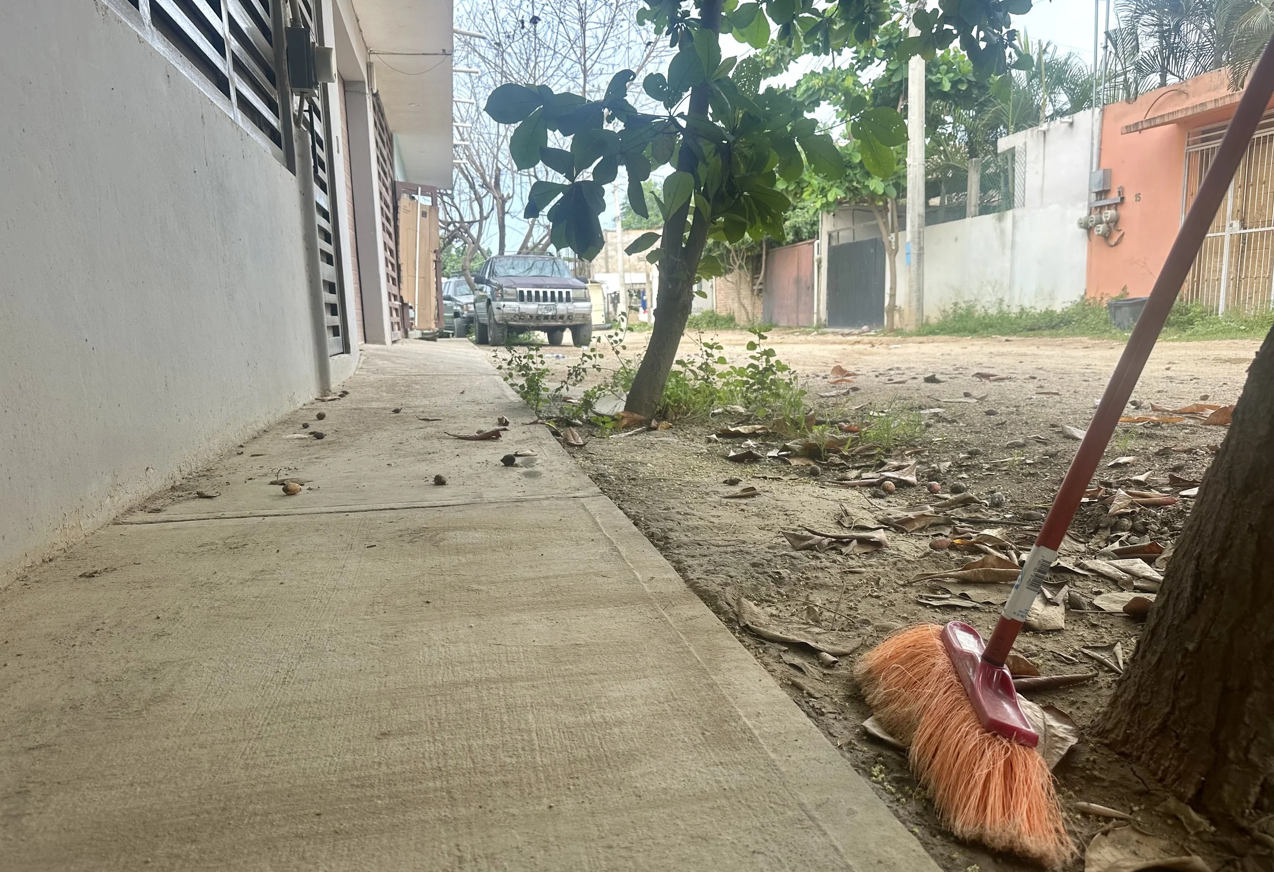 Swept up together