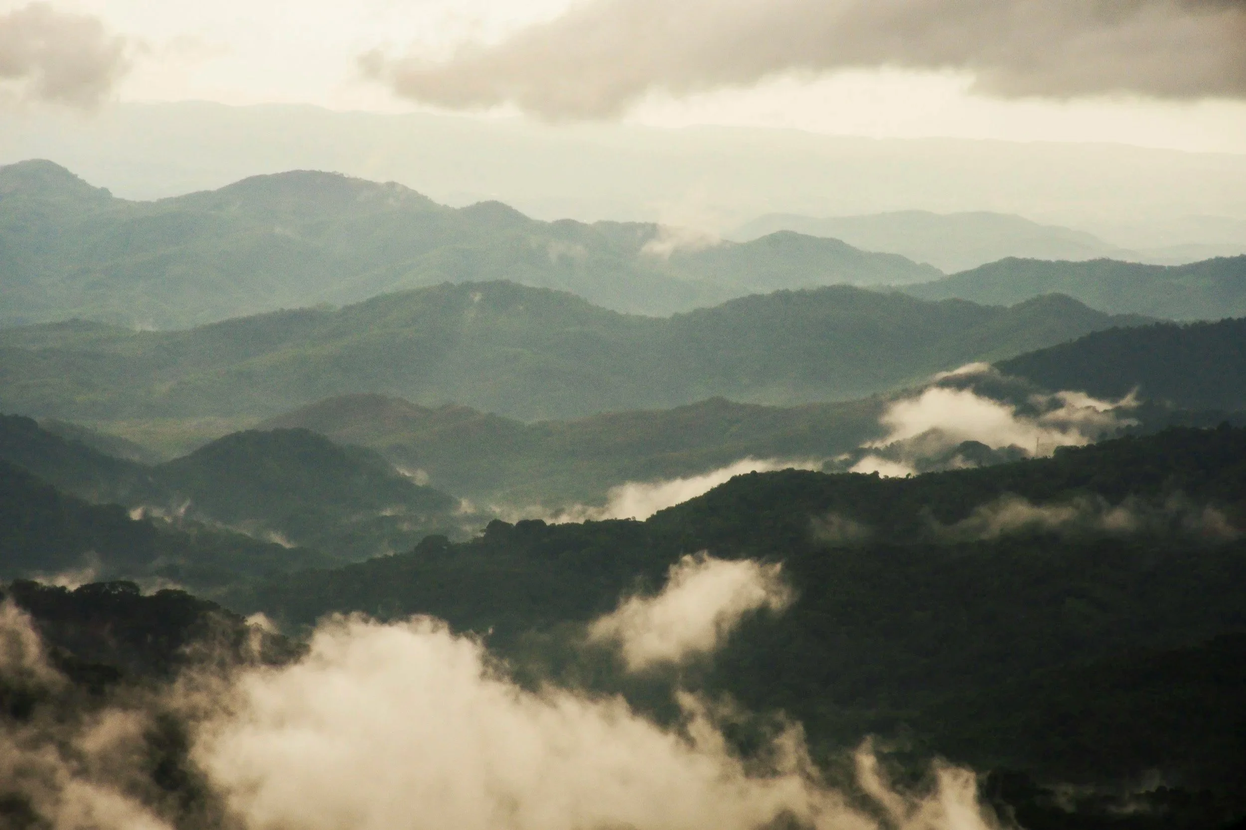 A place worth staying: The story of the first Mexicans