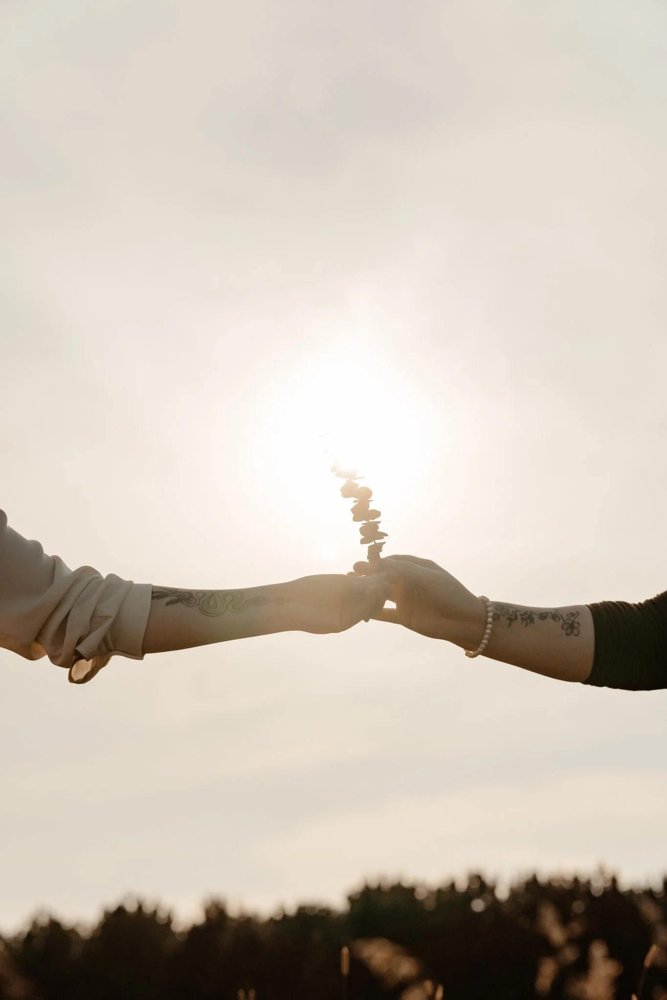 Two people are holding hands, with one person wearing a bracelet and tattoo, against a bright sky, with a line of trees in the distance.