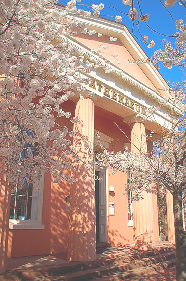 The Athenaeum Gallery 3.png