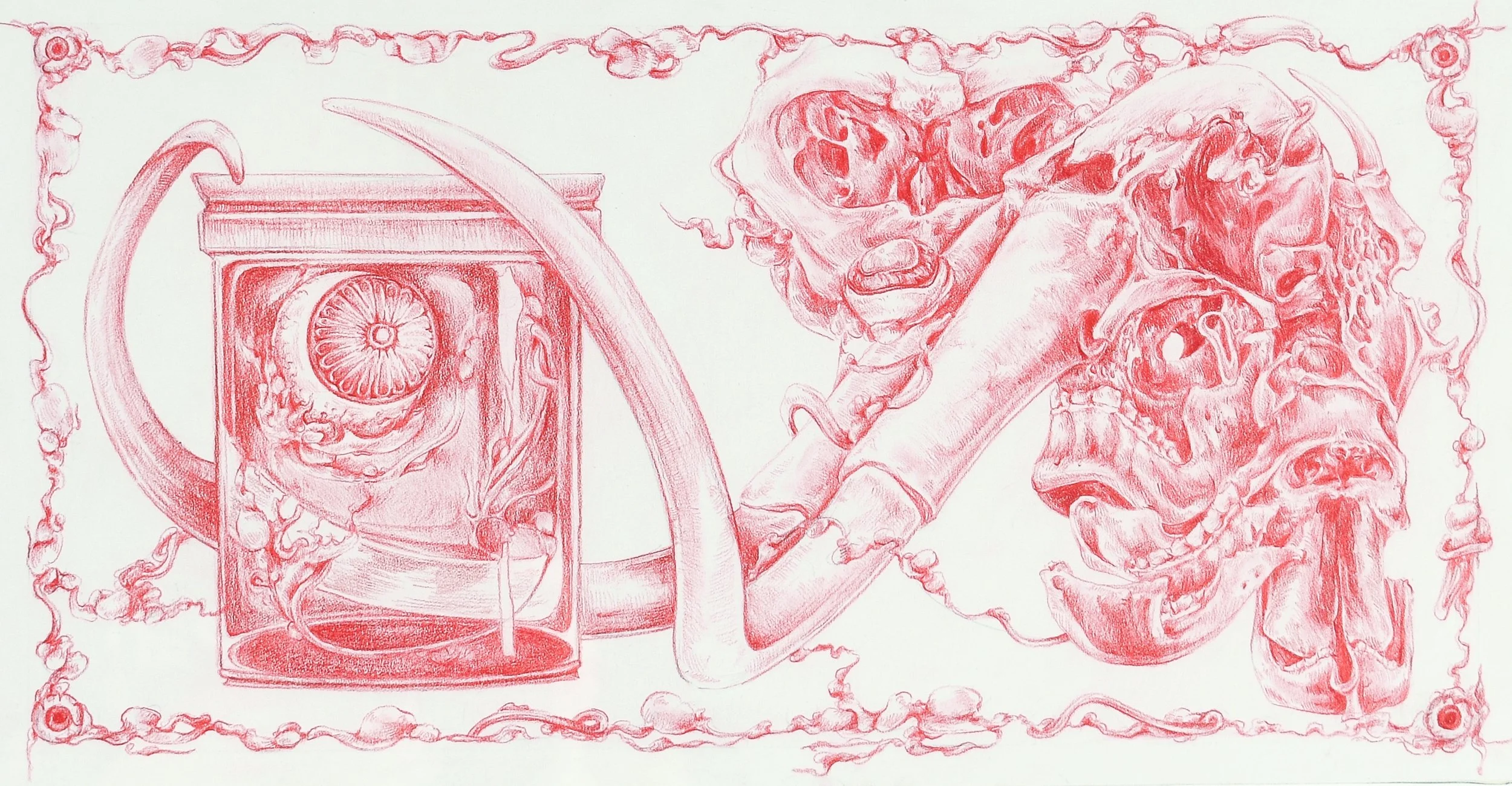 Cyclops Study