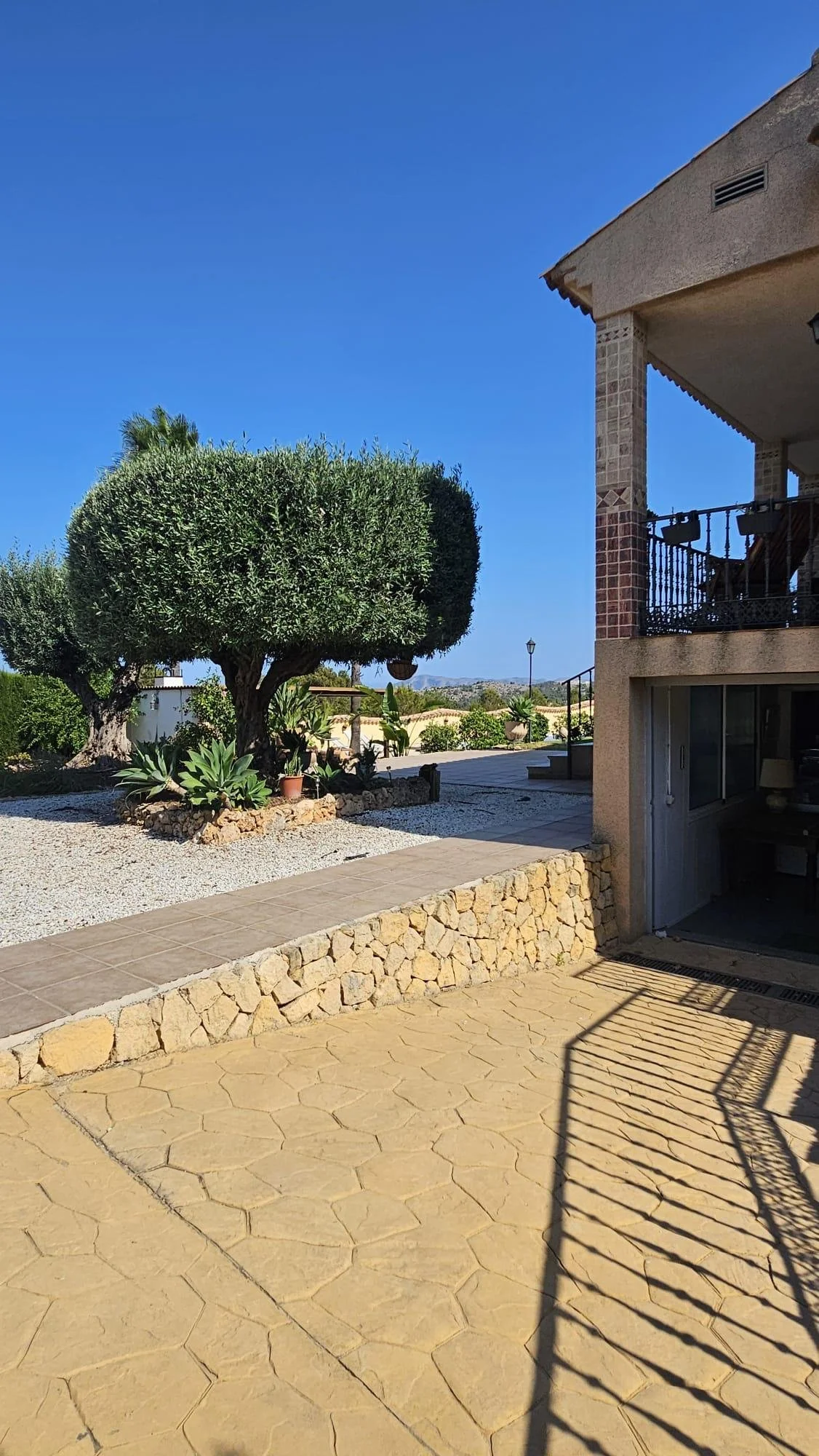 Patio exterior con árbol de follaje denso, plantas en macetas y vista de un cielo azul despejado.