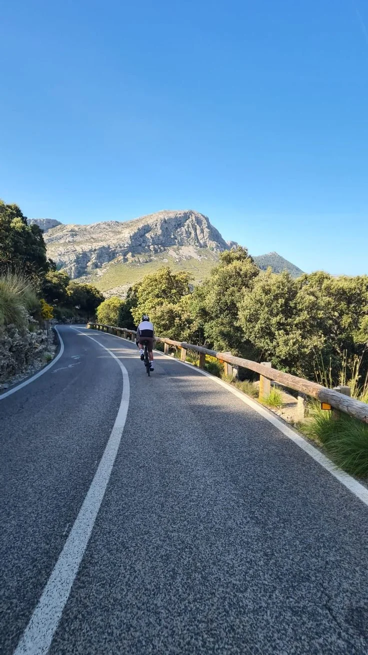Ciclista en una carretera de montaña rodeada de árboles y con un cielo despejado.