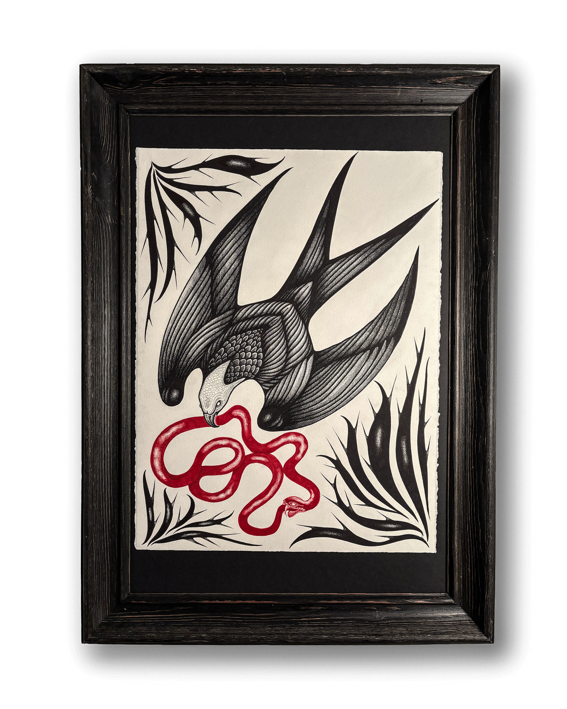 Large scale framed illustration of a swallowtail hawk and ouroboros