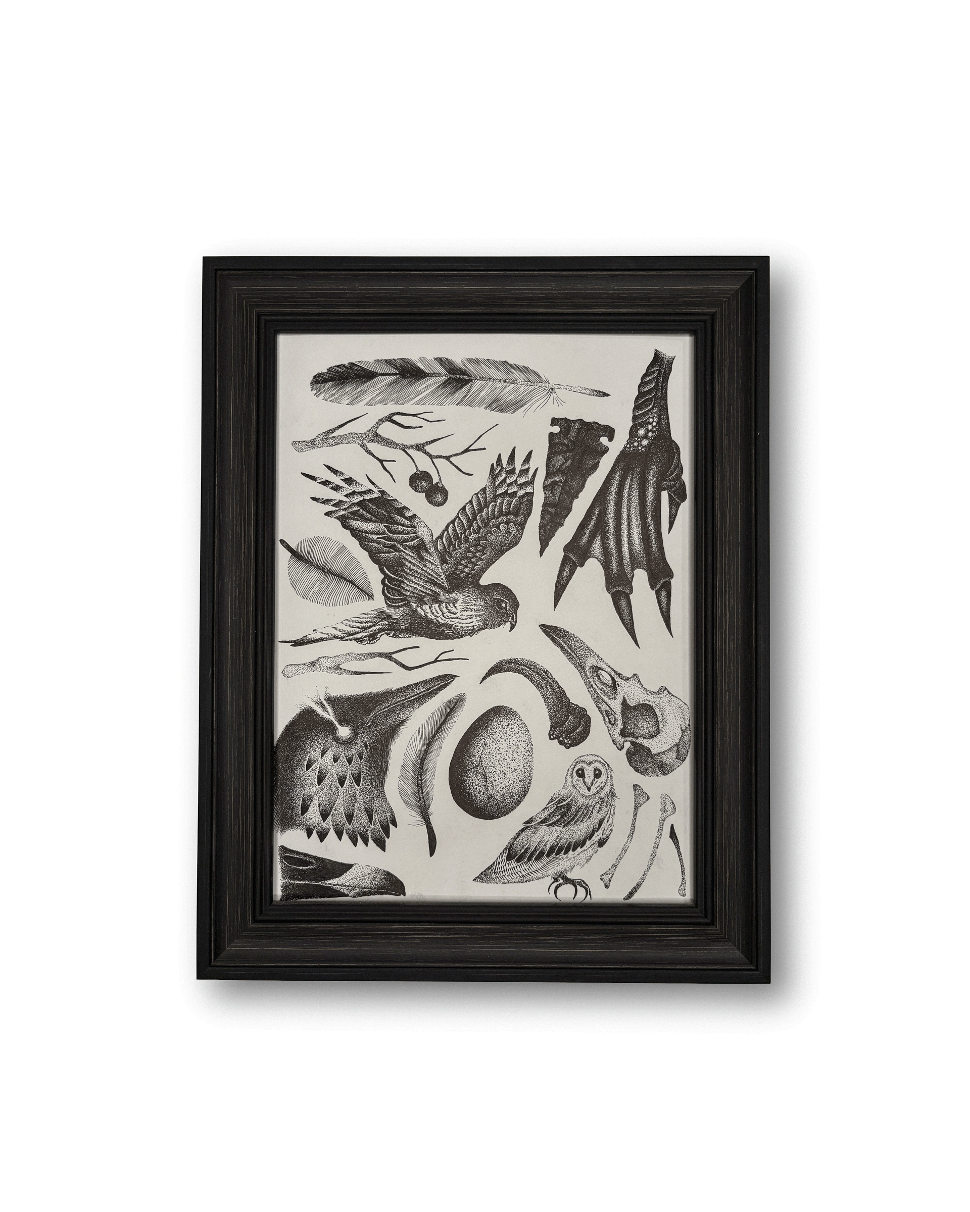 Framed illustration of closely fit together birds and bird-related natural objects