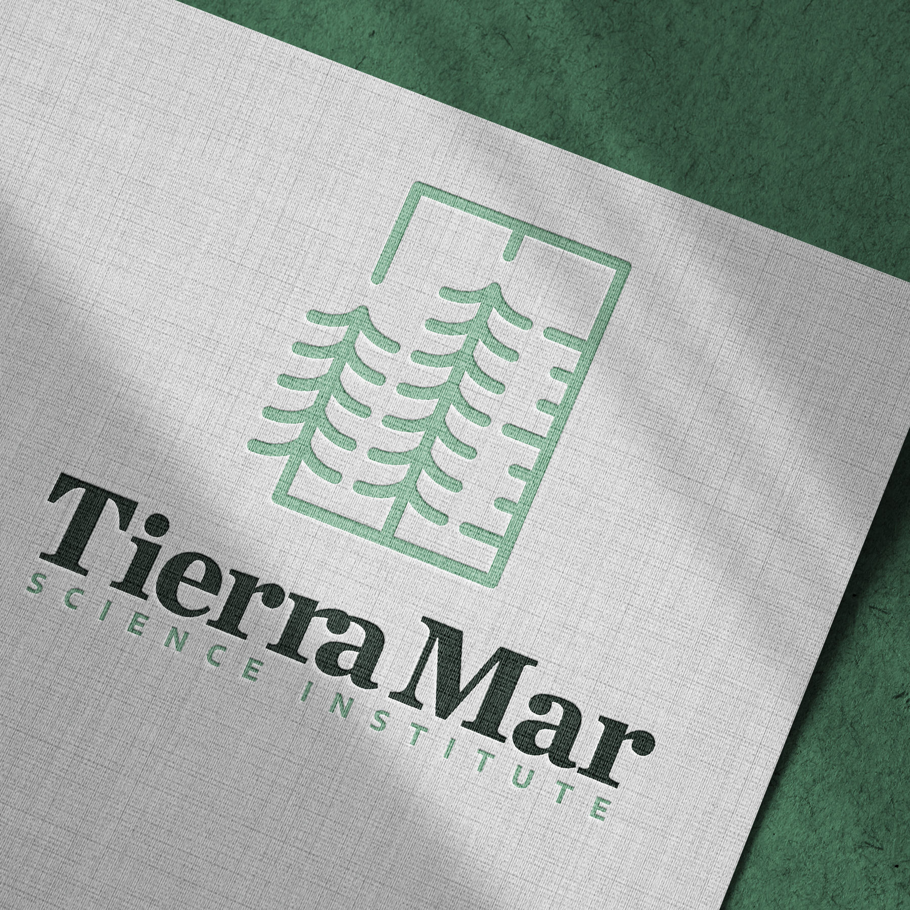 Tierra Mar Science Institute logo printed on linen texture paper, laid on a textured green background surface