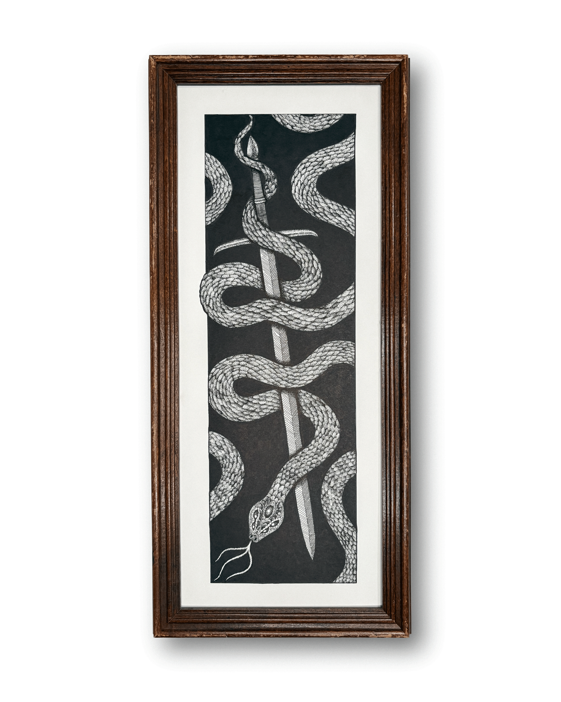 Framed illustration of a snake wrapped intricately around a sword