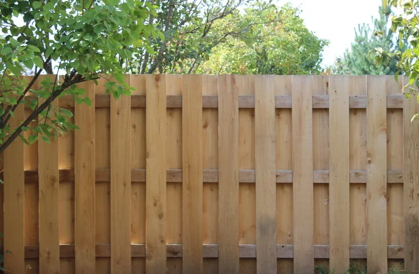 Wooden backyard fence with greenery and trees visible above it.