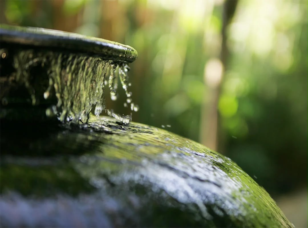 Close-up of a moss-covered outdoor fountain with water trickling down, blurred green trees and sunlight in the background.