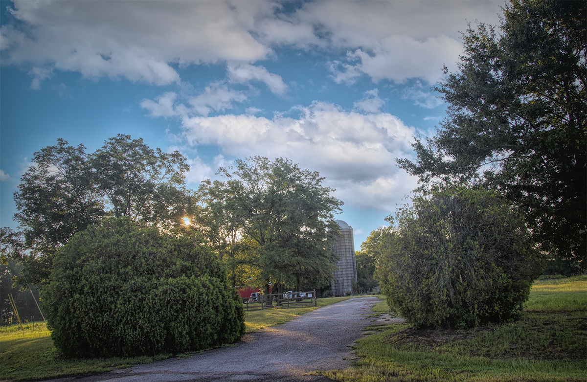 #3 _MG_0145-studio Dramatic HDR.png
