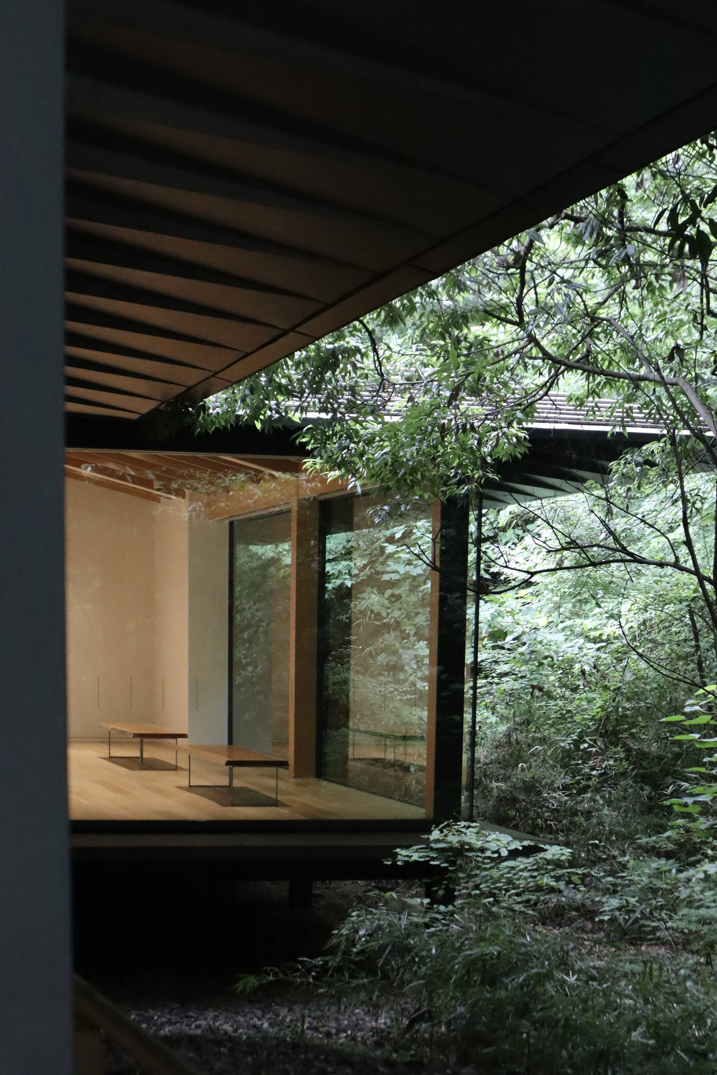 Meiji Jingu Museum, Tokyo: View through a large glass window of a modern interior space with wooden floors and benches, surrounded by lush green trees and plants outside.
