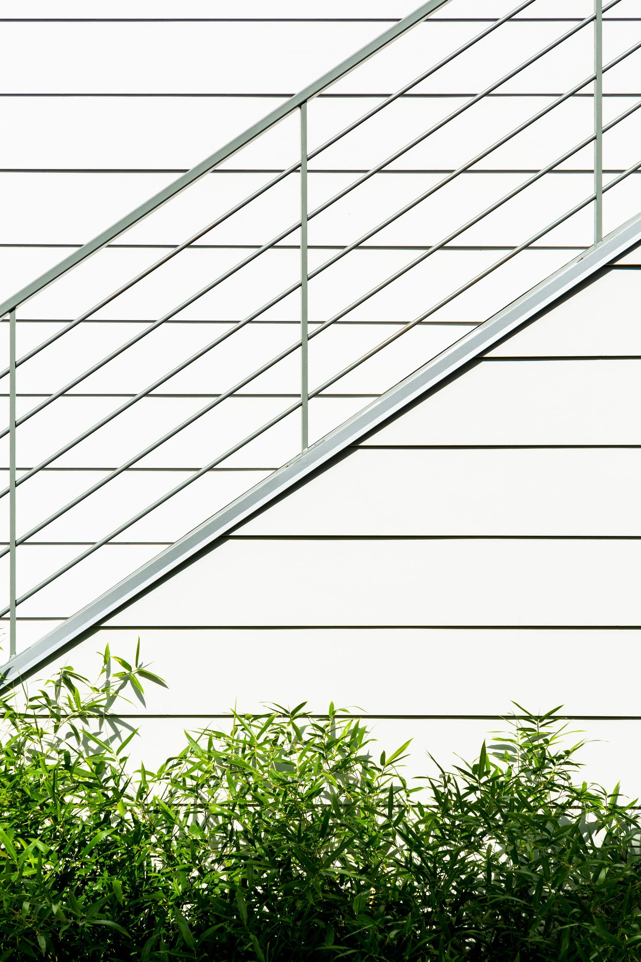 609LafargeAve_Buildwell_JessBlackwellPhotography_39.jpg
