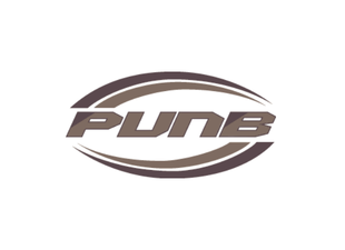 PURE logo with stylized text and curved lines