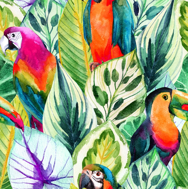 Still Life Floral Fauna Parrot Bird Abstract Modern Art B.webp