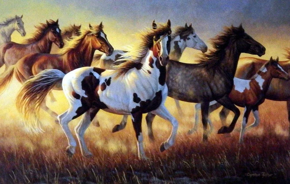 A herd of horses running across a grassy field during sunset, showing various colors and patterns.