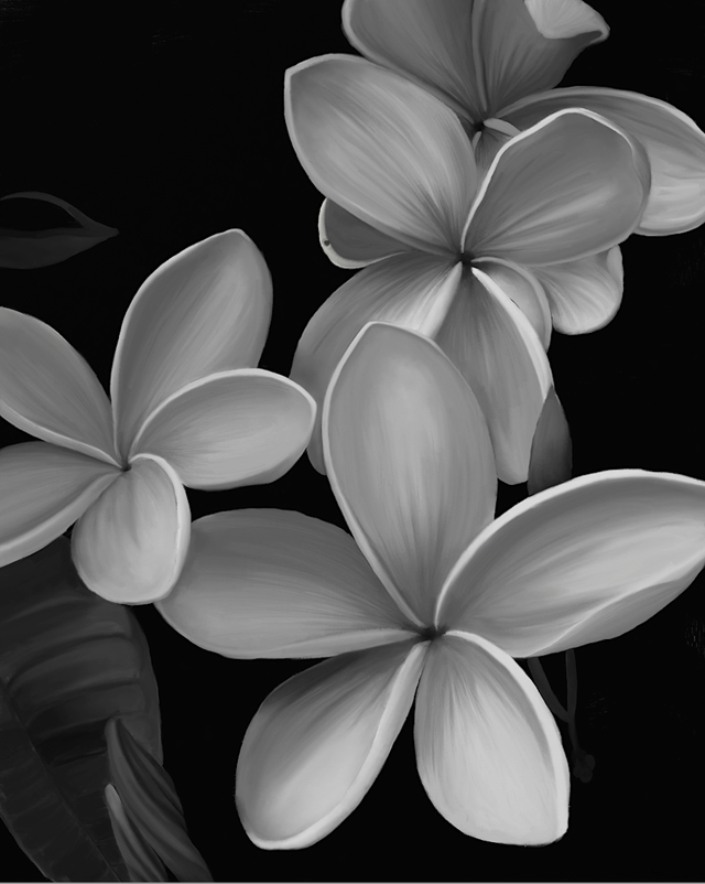 Black & White Flower I D.webp