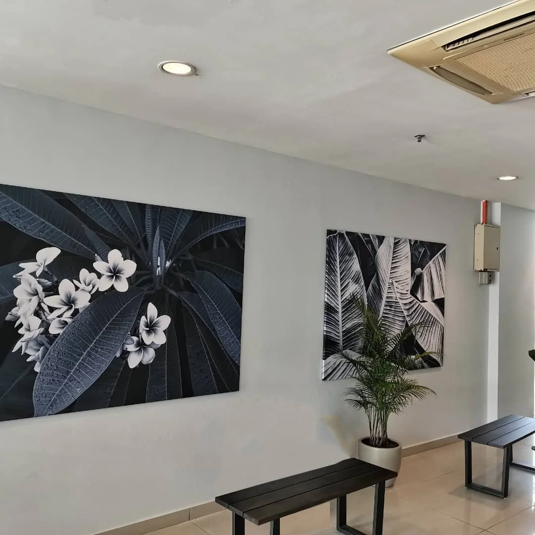 Interior of a modern space with two black and white botanical wall art pieces, a potted plant, and black benches.