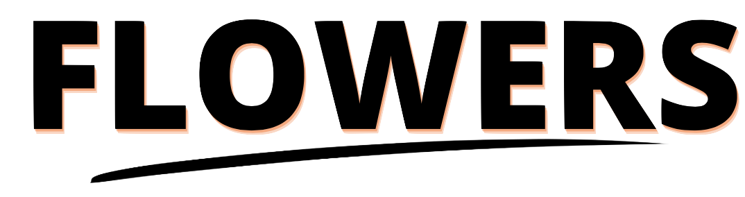 The word "FLOWERS" written in large black letters with a pink outline on a black background.