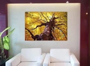 Interior of a living room with a white sofa, a potted plant, and a large framed photo of a tall tree with yellow leaves hanging on the wall.