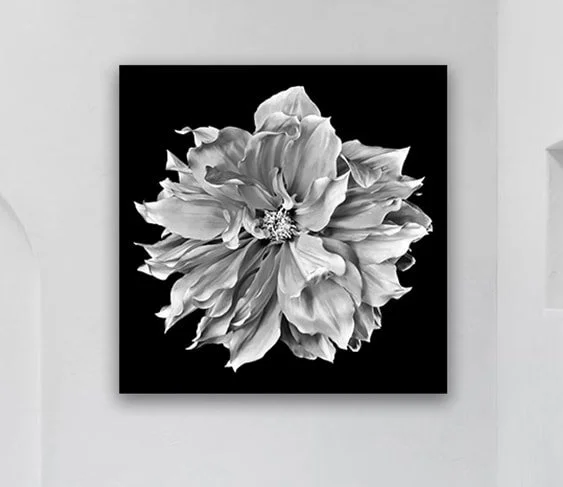 Black & White Flower III A.jpeg