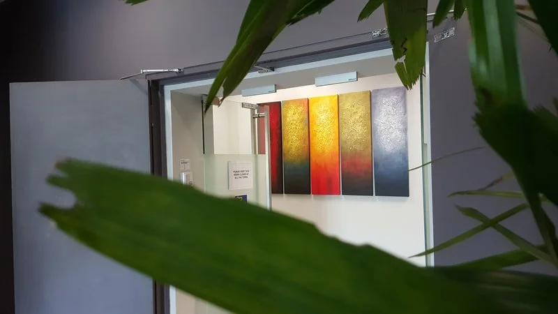 Colorful abstract paintings on a wall viewed through a gap with green plant leaves partially obscuring the foreground.