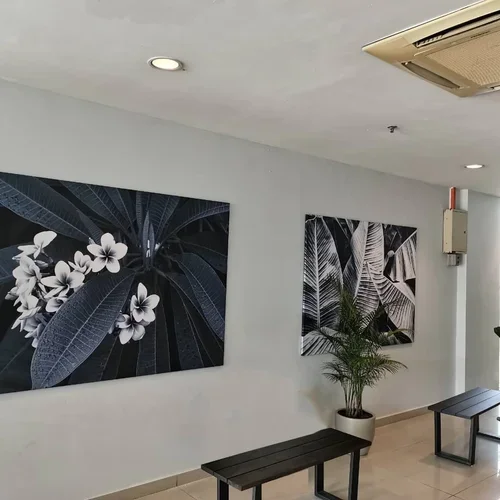 Interior wall with two black-and-white botanical art prints, a potted plant, and black benches in a well-lit space.