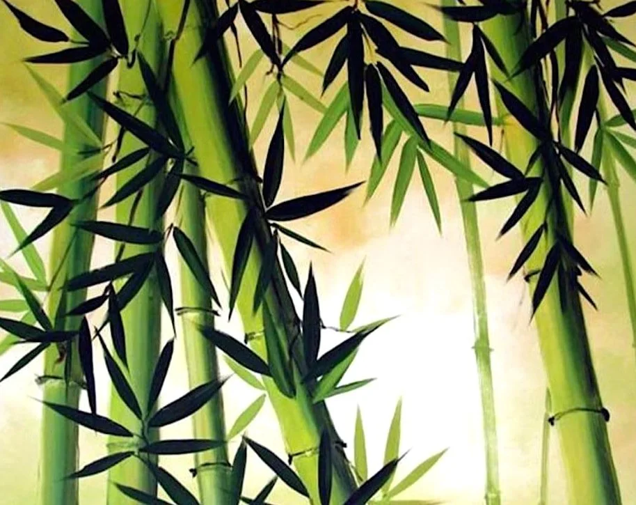 Close-up of green bamboo stalks and leaves.