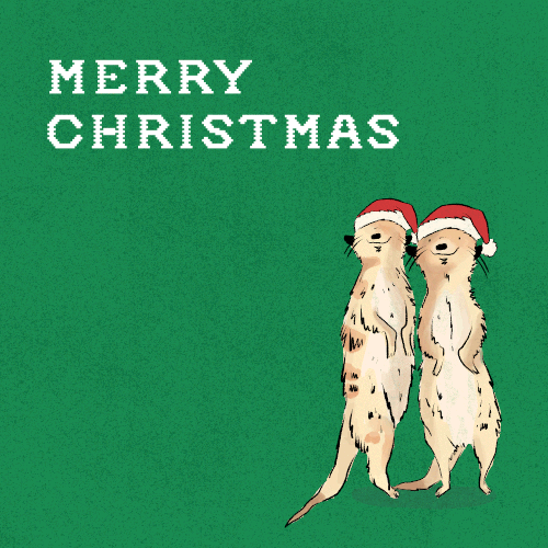 Background-Meerkat-Christmas-007.gif