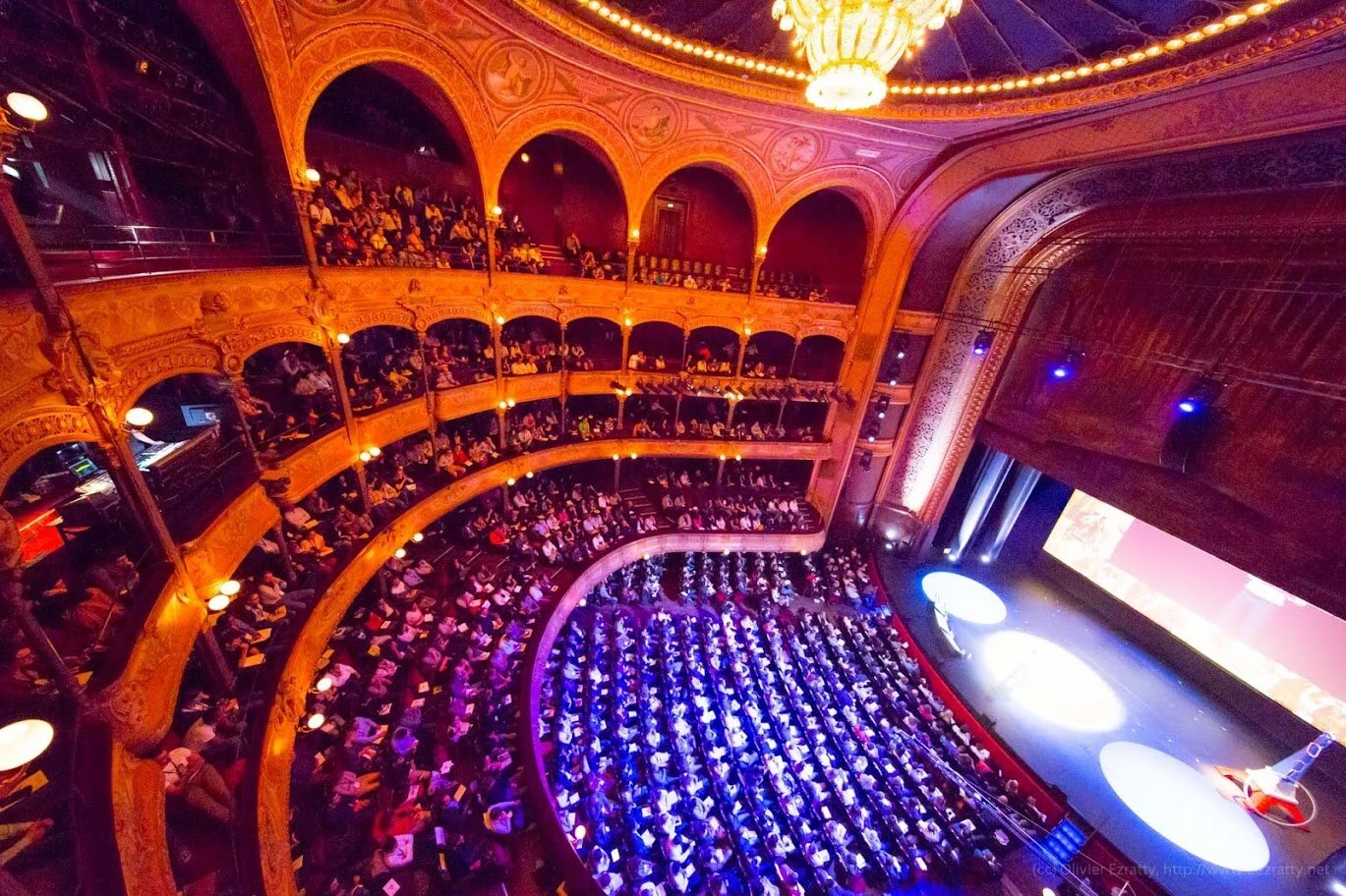 tedxparis-nov2015--audience-11_22157887243_o.jpeg