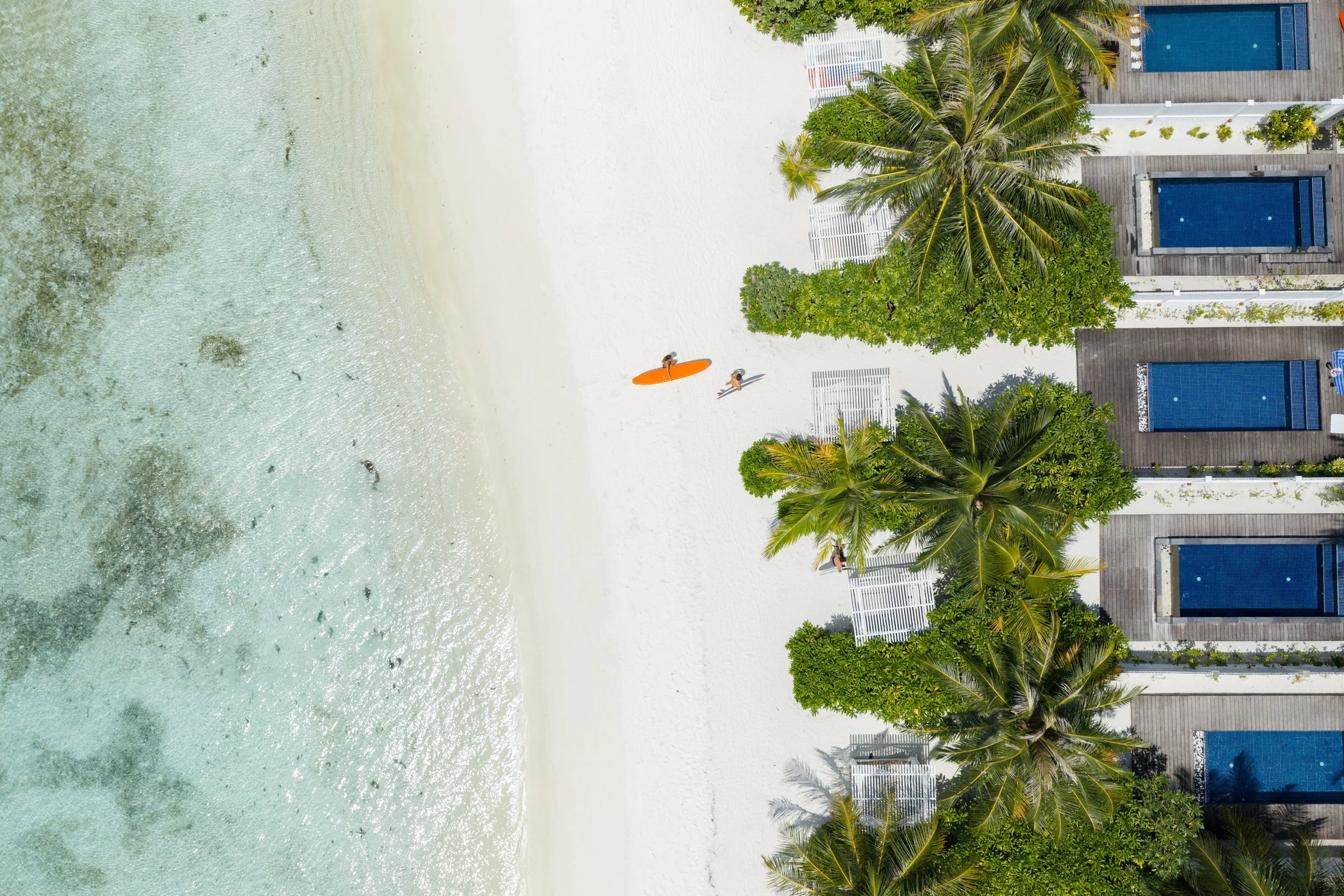 DJI_20260312090548_0302_D.jpg