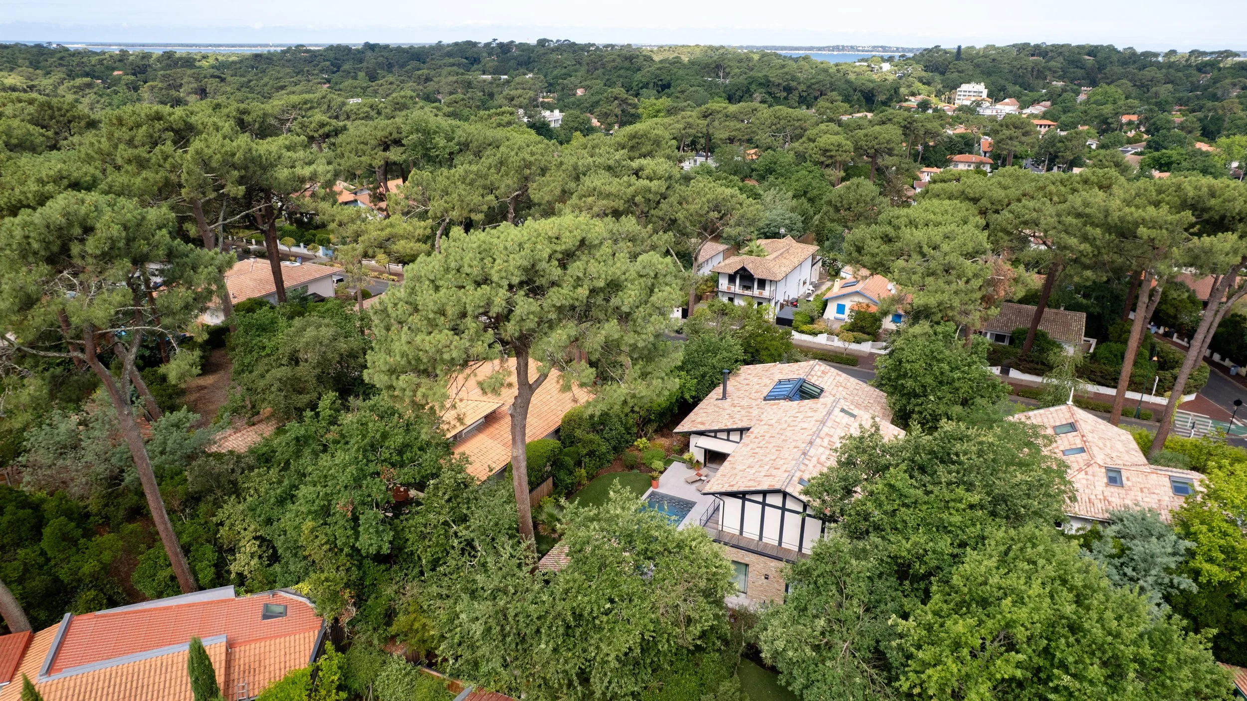 DJI_0462.jpg