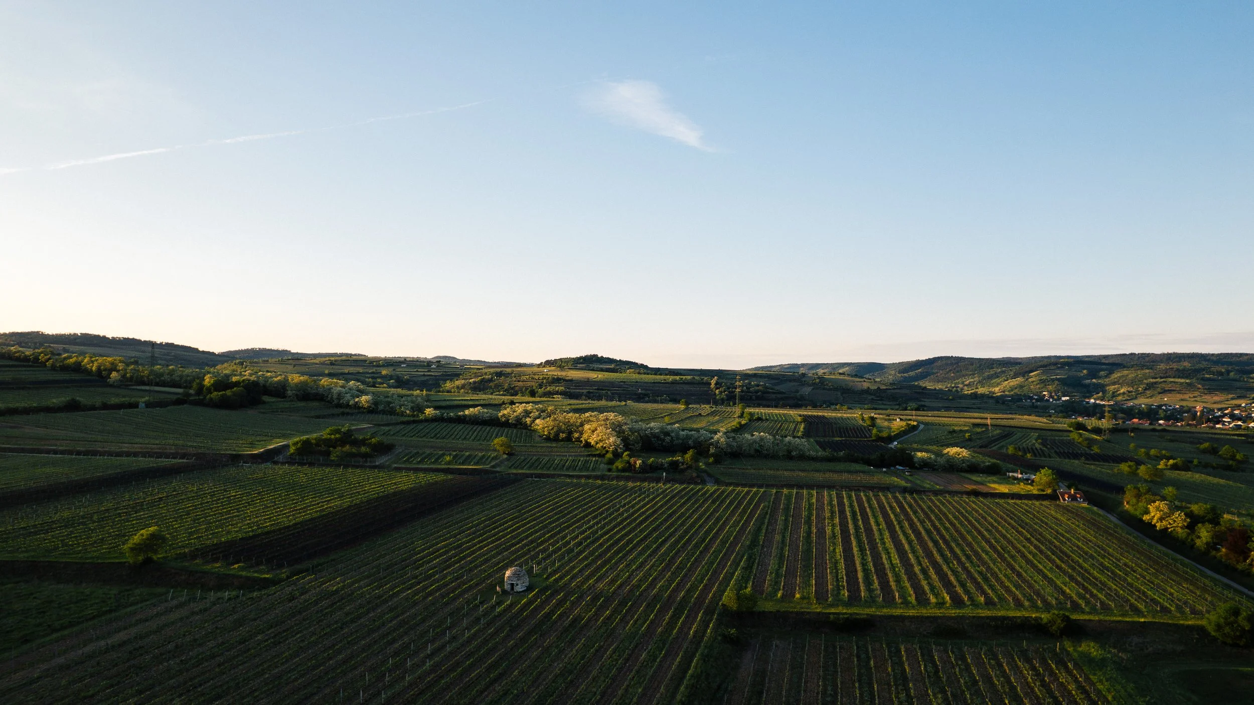 DJI_0089.jpg