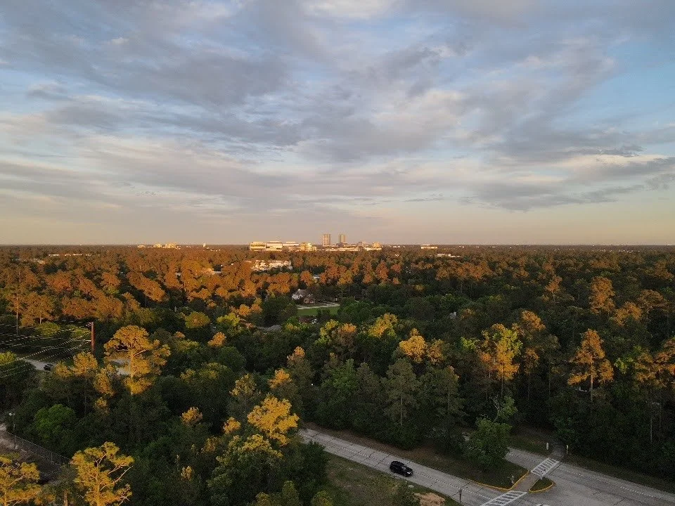 Aerial view of a green forest with a road and a black vehicle, and distant buildings under a partly cloudy sky.