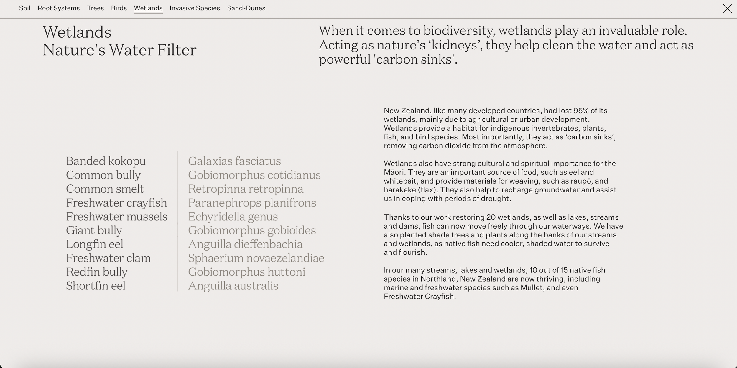 Screenshot 2026-08-10 at 10.43.49 pm.png