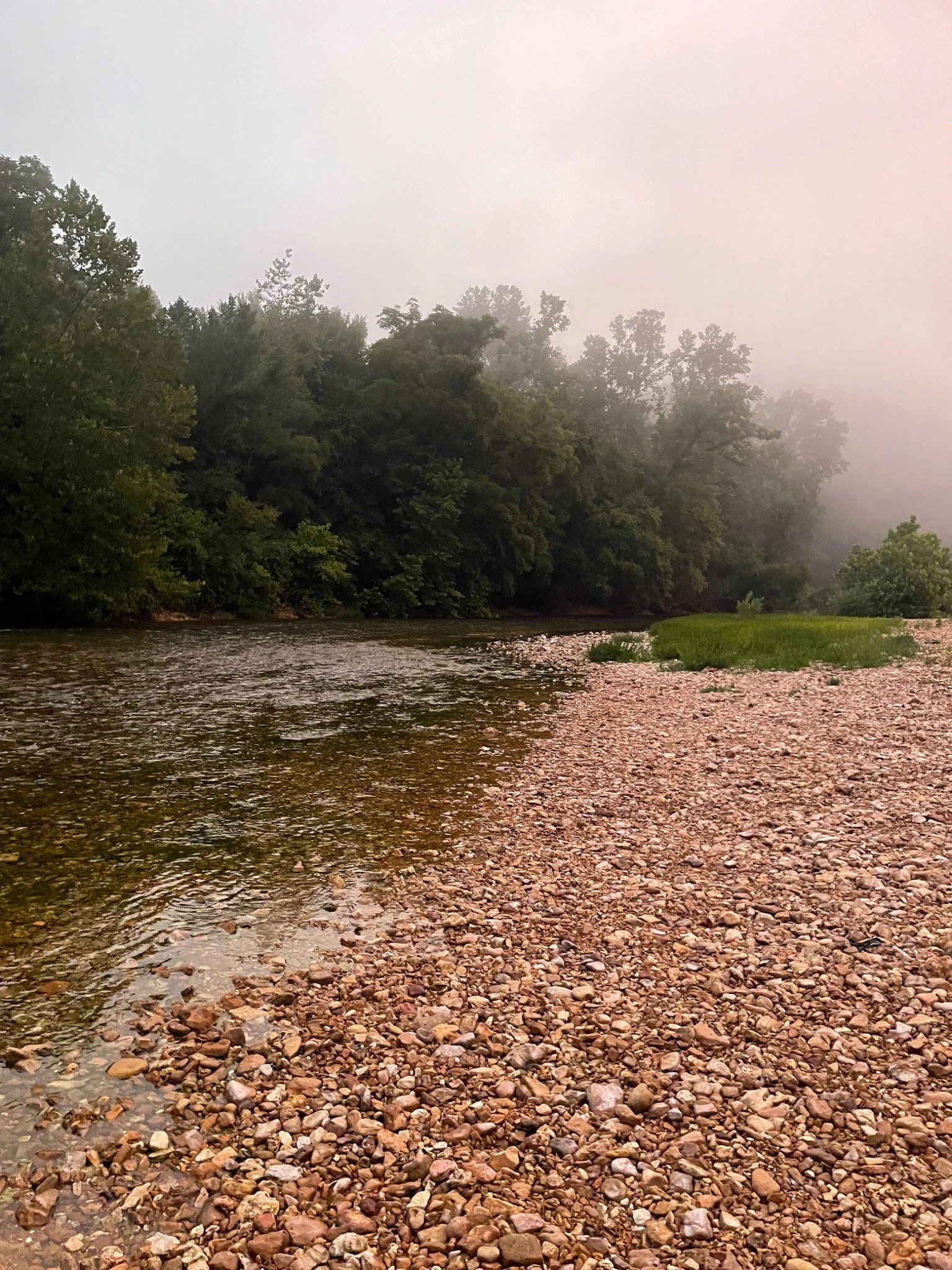 Morning_Mist_Web.jpg