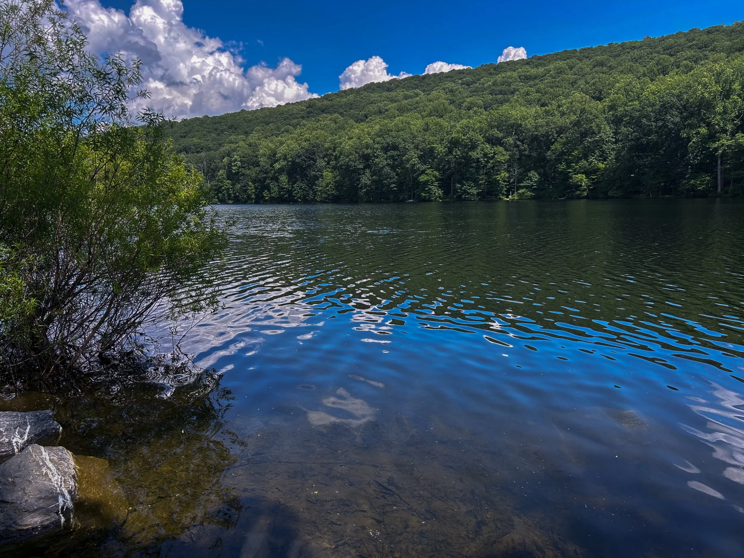IMG_4165.jpg