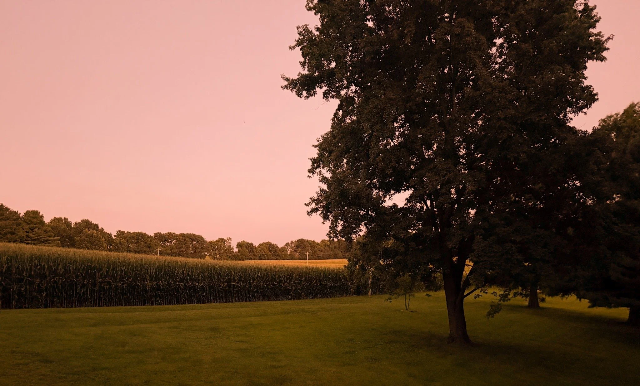 Where Light Lingers
Central Illinois