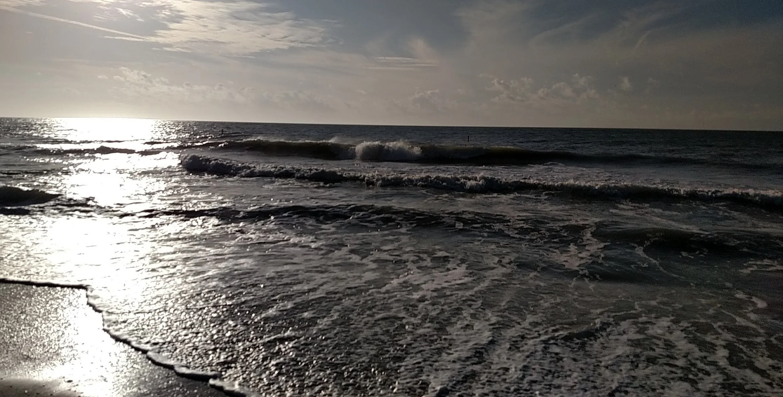 Silver Tide
St. Petersburg, FL
