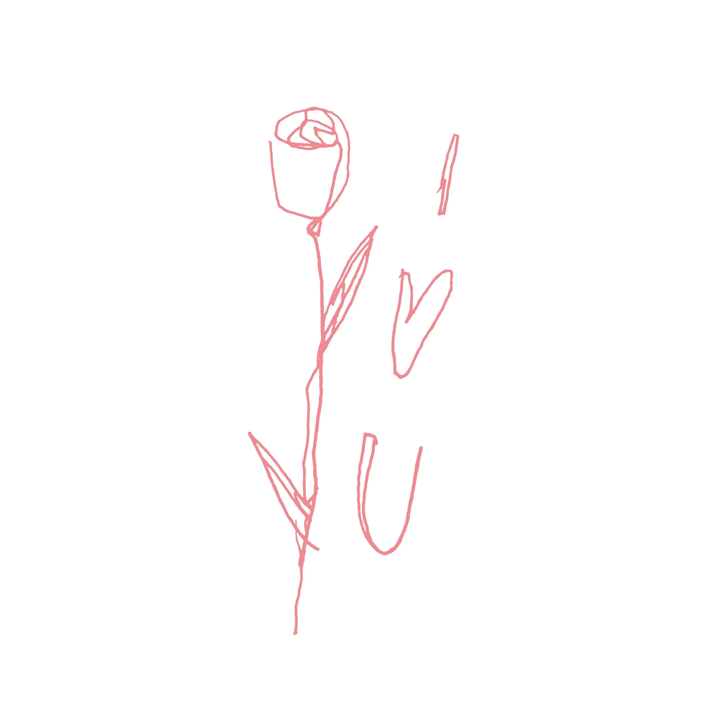 🌹_.JPG