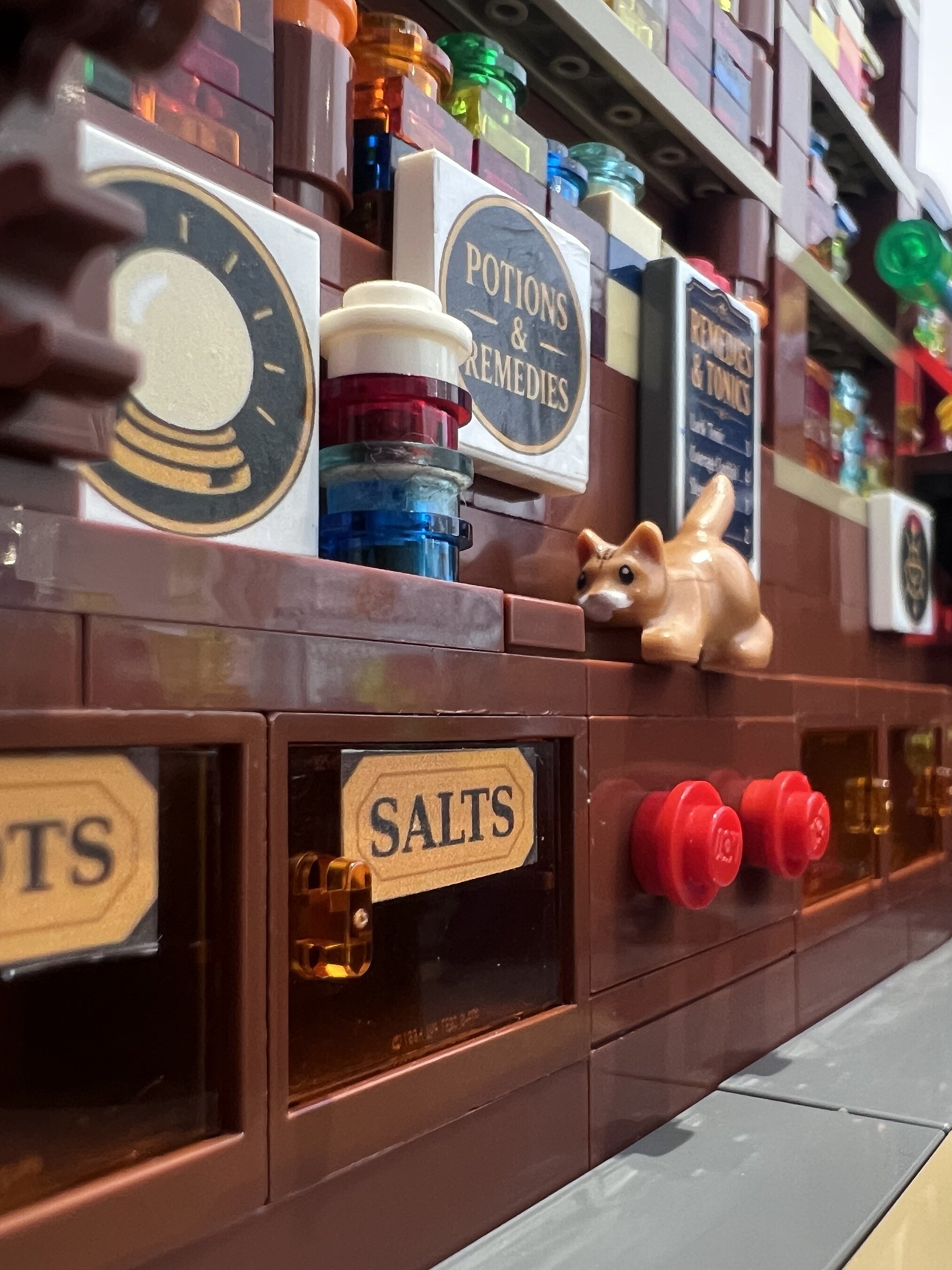 Close-up of LEGO potion shop signs on 2x2 tiles, a crystal ball roundel and a Salts drawer label, with the shop cat on the shelf
