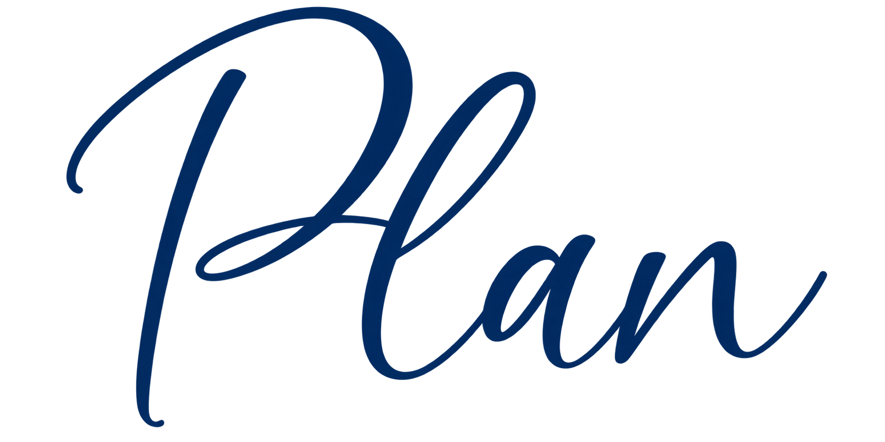The image displays the word "Plan" written in elegant, cursive, blue font.