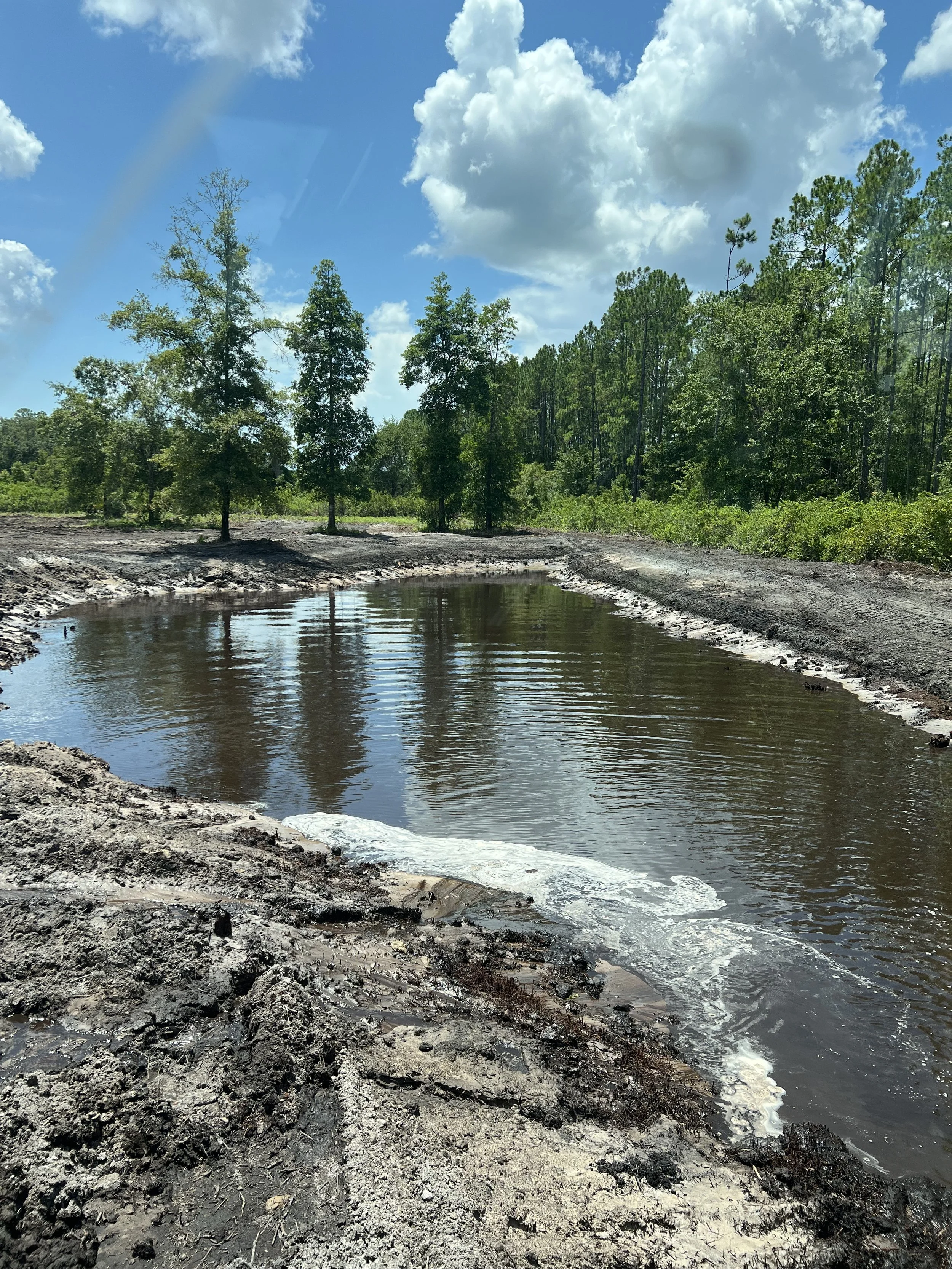 A scene of a muddy shoreline with a pond, surrounded by green trees under a partly cloudy sky.