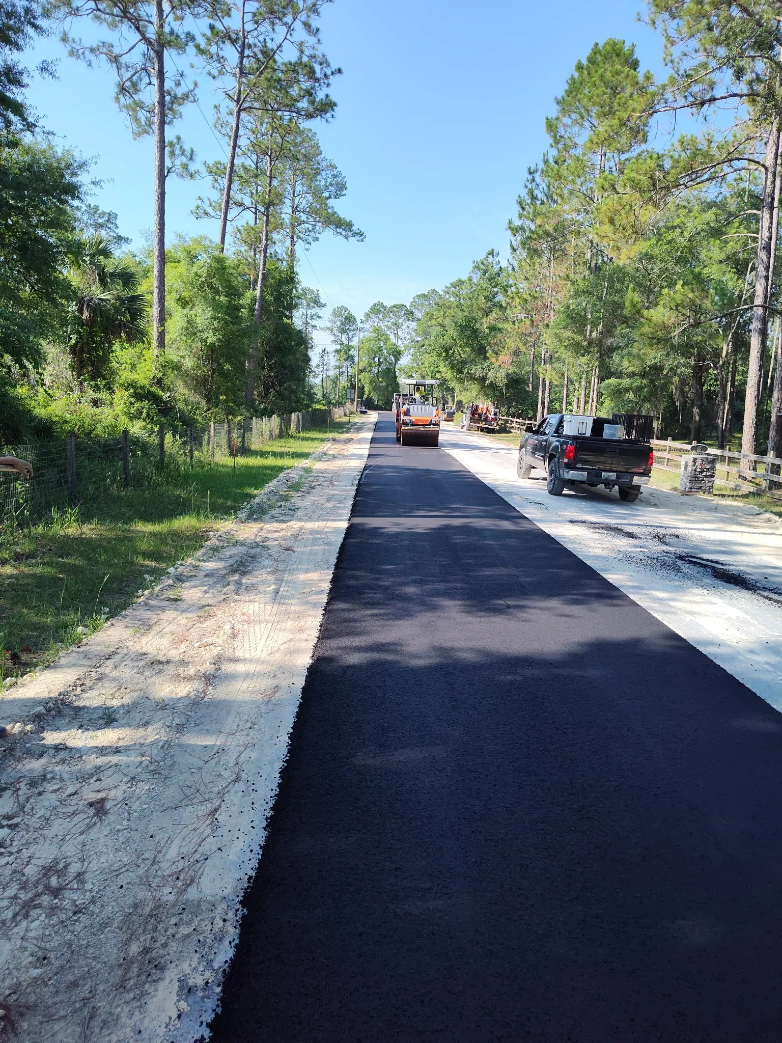 A road being paved with asphalt in a wooded area with tall trees on both sides and a paver laying fresh asphalt.