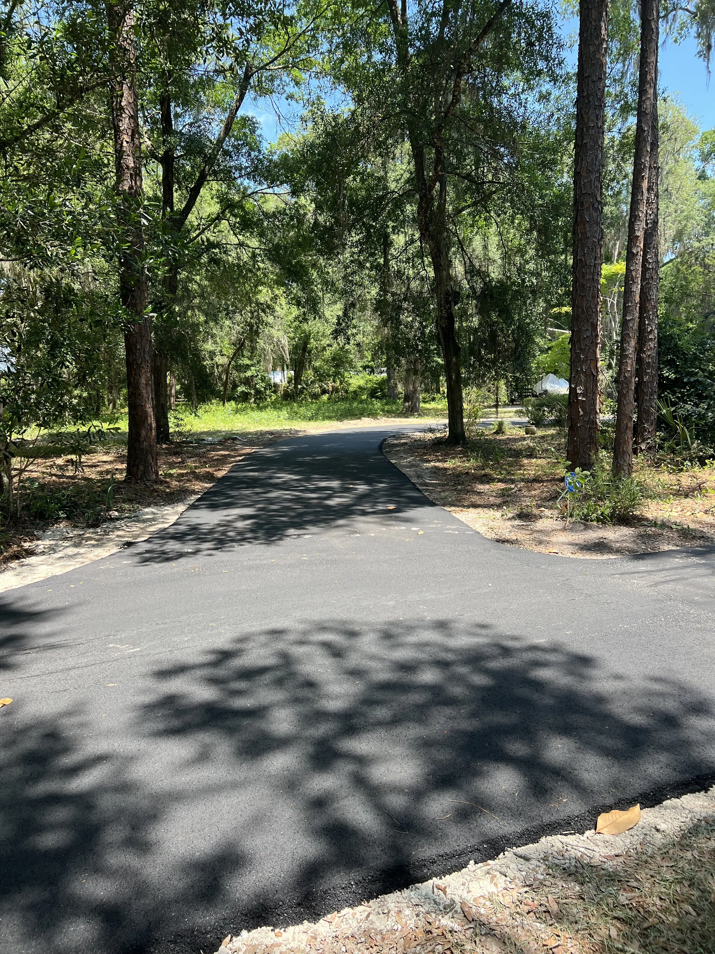 A winding paved driveway through a green wooded area with tall trees and blue sky visible through the leaves, and shadows cast on the ground.
