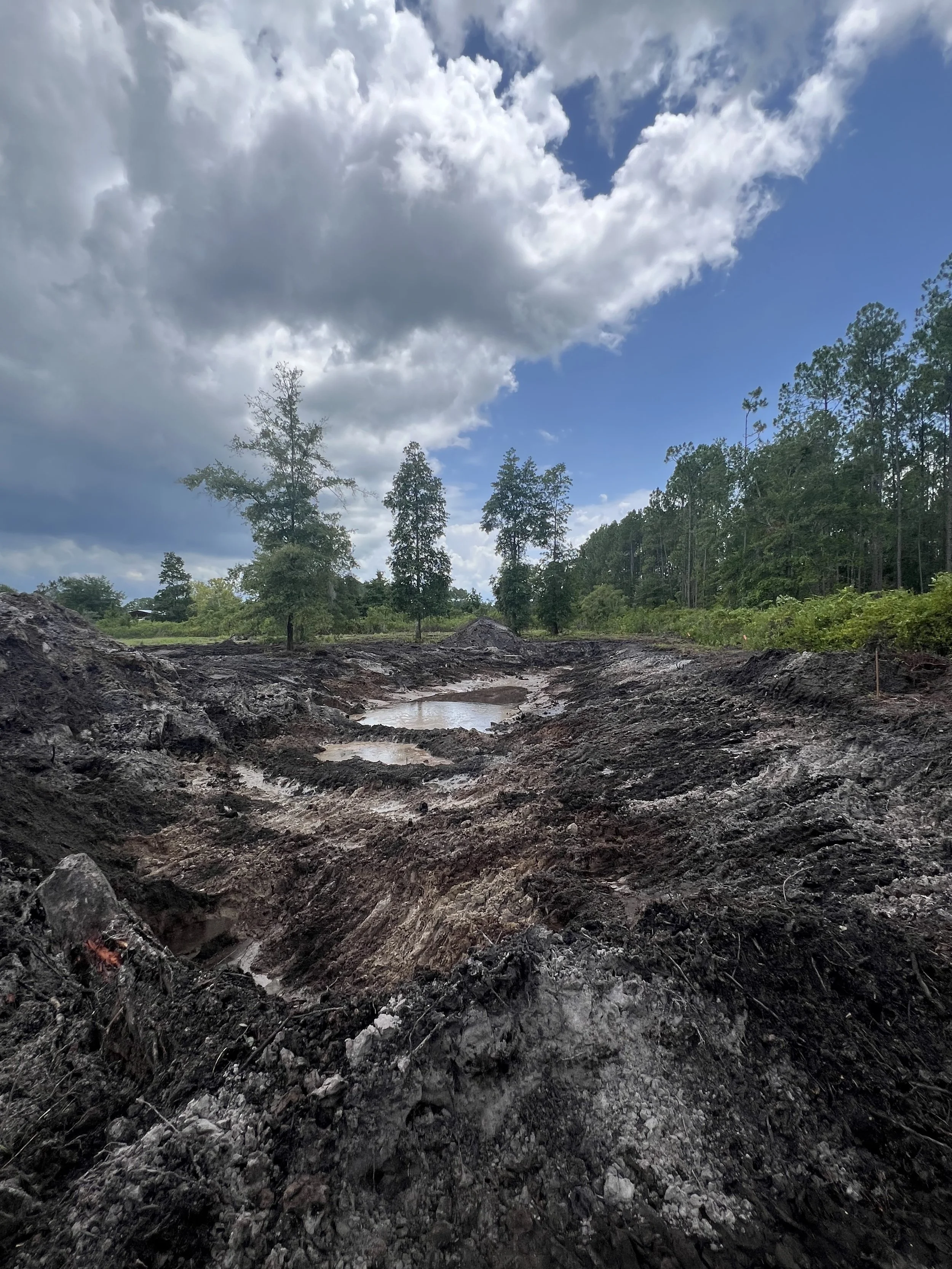 A landscape scene with dark, muddy soil in the foreground, scattered rocks, and a small puddle of water. In the background, tall green trees and a partly cloudy sky with large white and gray clouds.