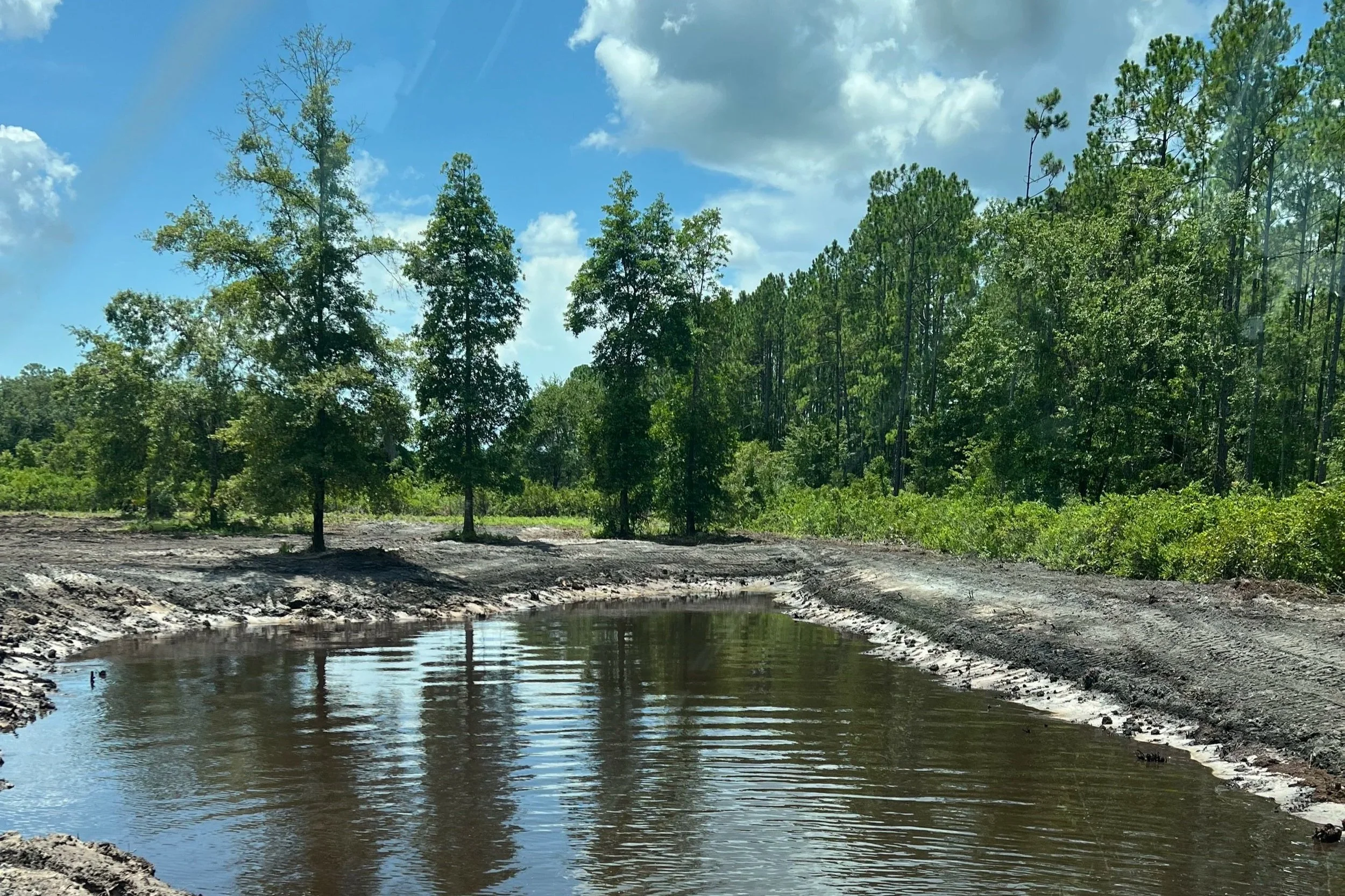A newly dug pond in a wooded area with tall green trees under a partly cloudy blue sky.