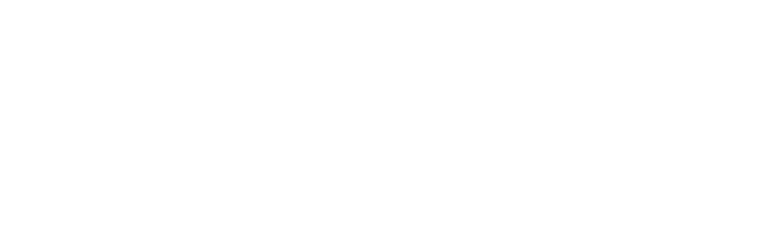 VISA logo in black and white.