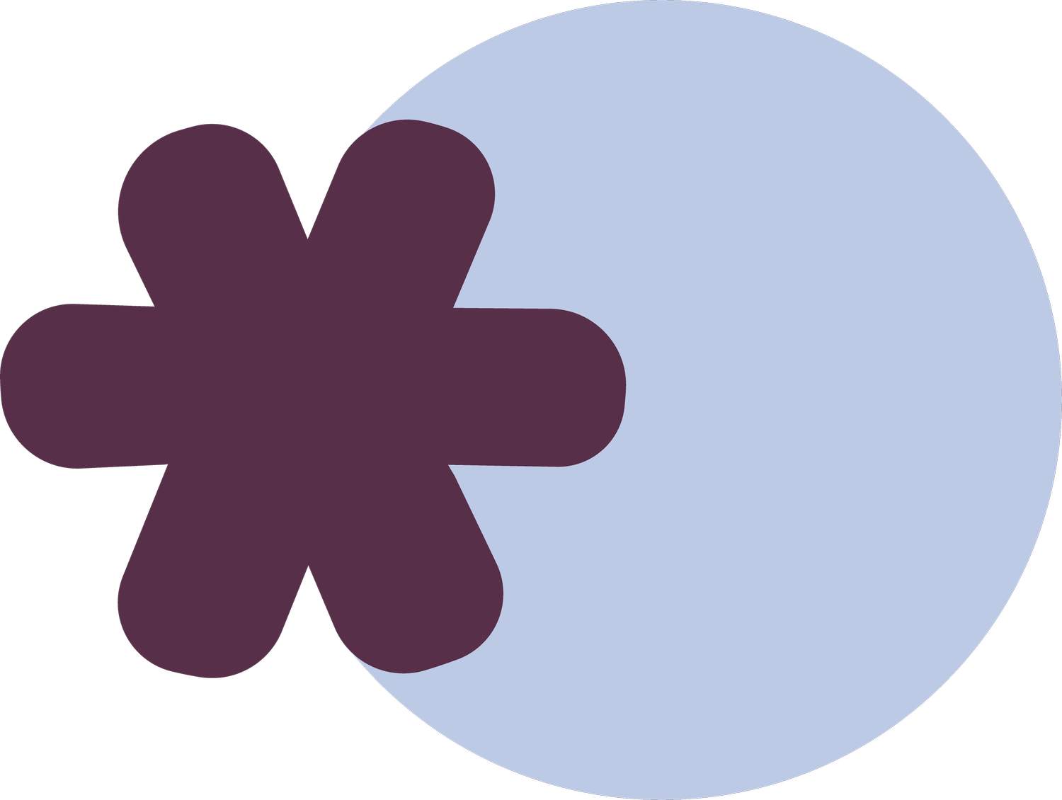 Feminist Law Clinic Vienna